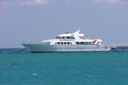 Marsa Alam - Red Sea Dive Holiday. Liveaboards.